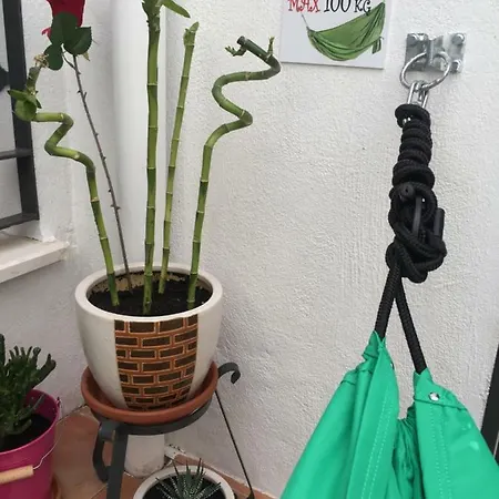 Guantanamera Eco-friendly Holiday Apartment *